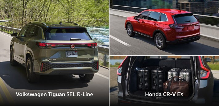 Dimensions and Cargo Space